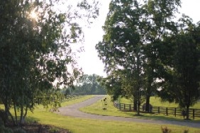 490_brooks_lane_simpsonville_kentucky_40067