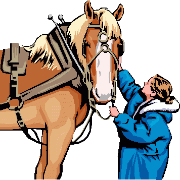 abundance-of-kentucky-draft-horses_364