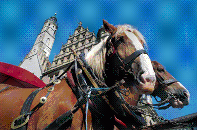 additional-benefits-of-world-equestrian-games-for-kentucky_384