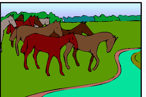 kentucky-horse-park_490