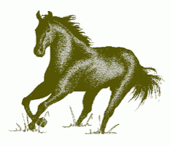 quarter-horses-track-proposed-for-laurel-county-kentucky_251