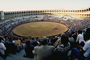 shelby-county-ky-horse-arena_298