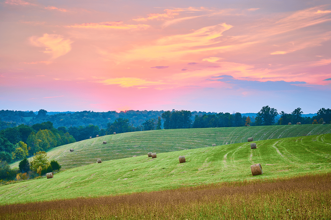 Pasture Land with Hay Bails